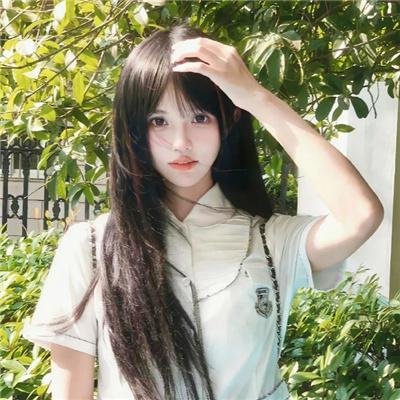 大白鲨4