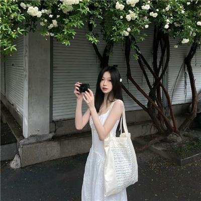 小镇田园风情画